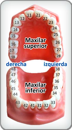 dentadura_completa